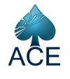ACE Demolition Services Limited 362014 Image 0